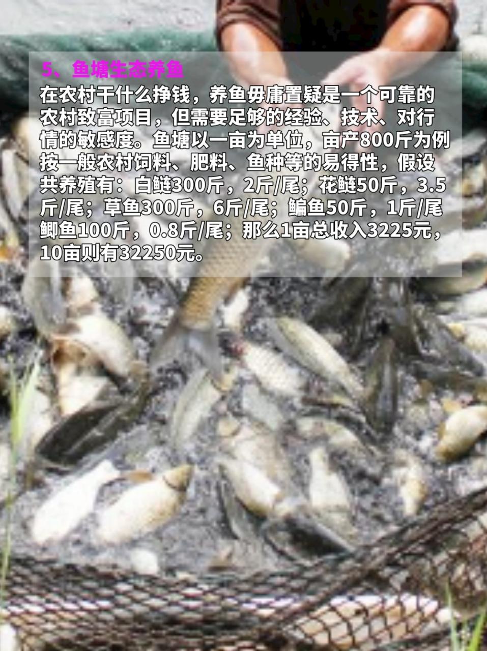 土特产生意好做吗