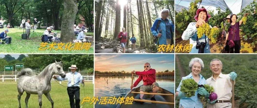 银发游市场现状