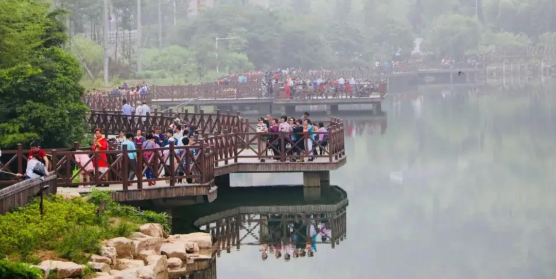 银发游市场现状