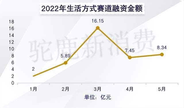 新消费的五大赛道