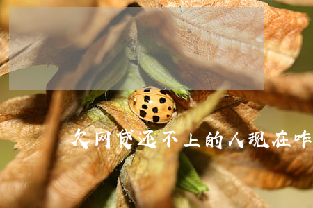 欠网贷还不上的人现在咋样了