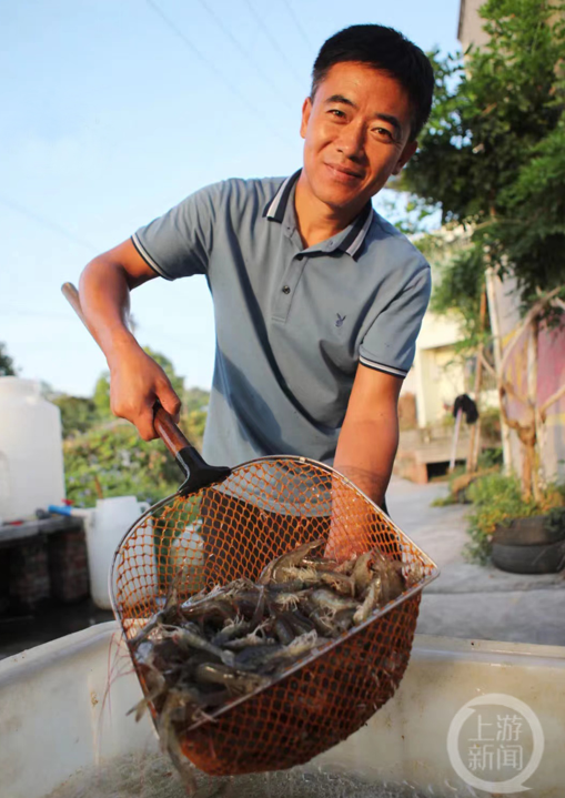 新农人是什么意思