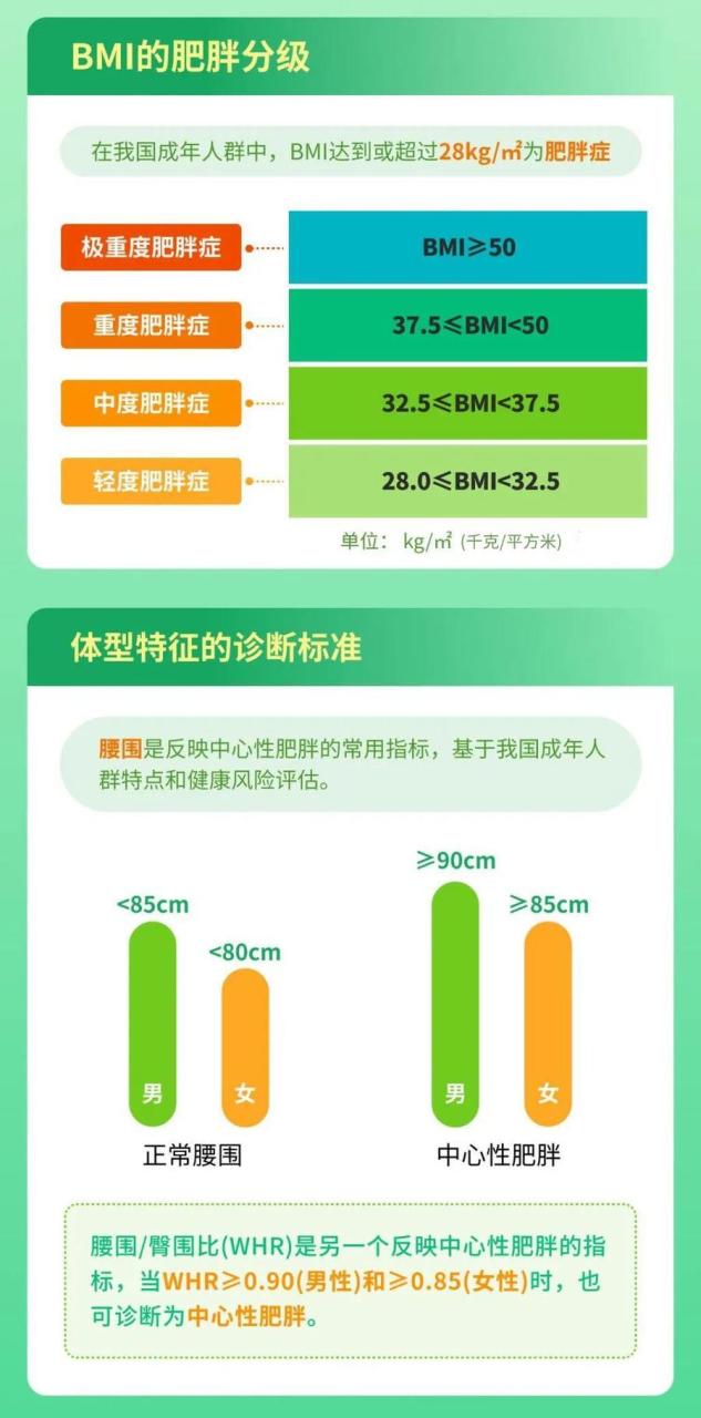 2025年减肥行业趋势