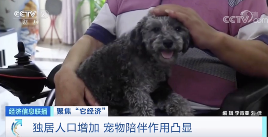 十大赚钱的短视