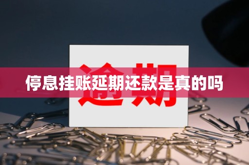 停息挂账延期还款是真的吗
