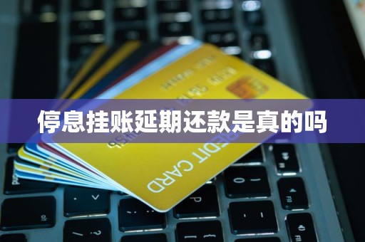 停息挂账延期还款是真的吗