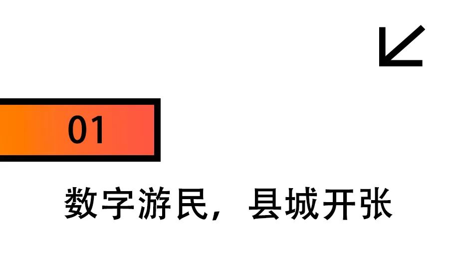 数字游民的十大职业