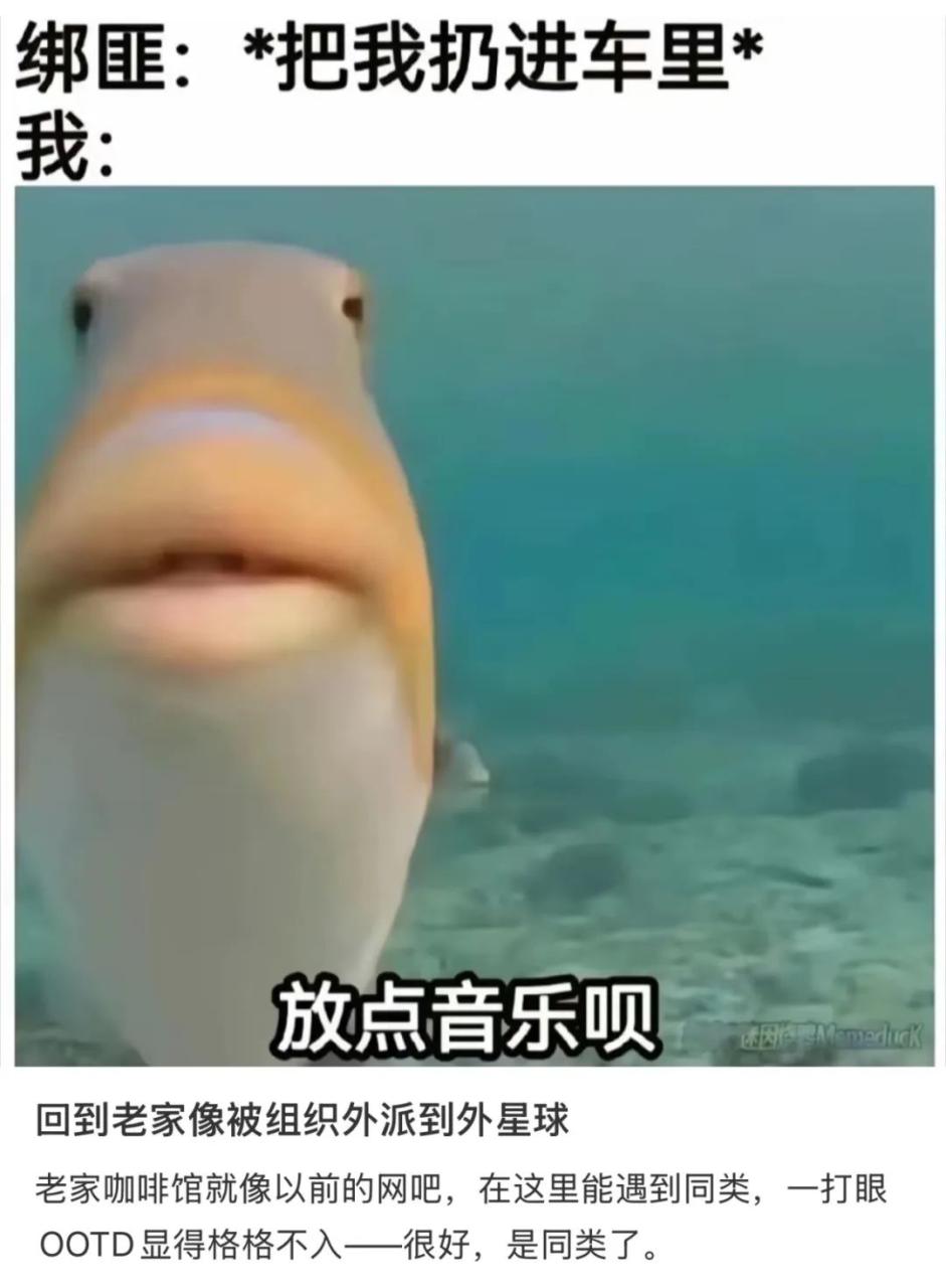 数字游民的十大职业