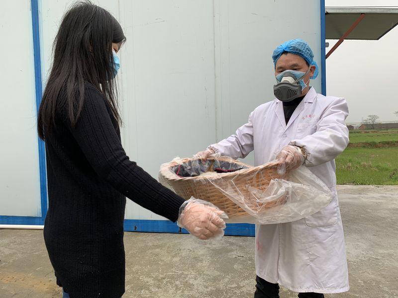宠物临终关怀包括哪些