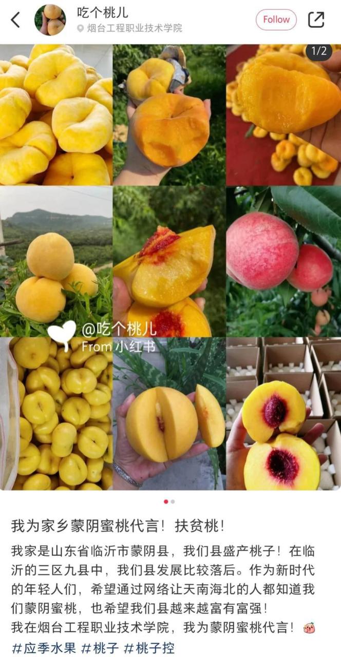 小红书卖水果需要什么条件