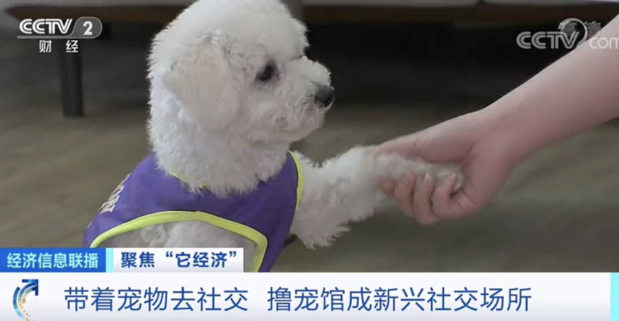 十大赚钱的短视