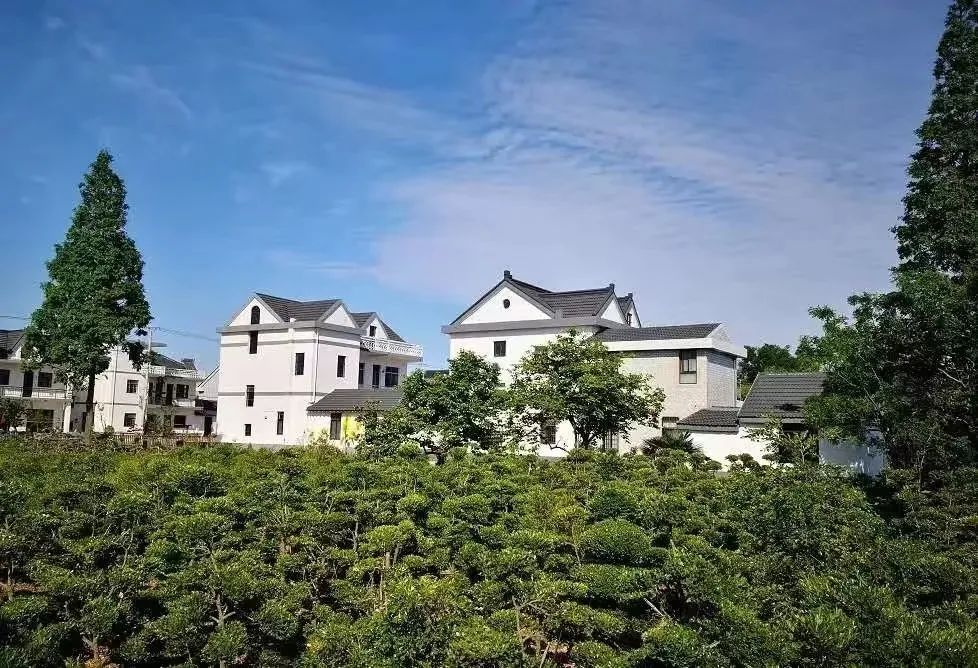 新三农和旧三农区别