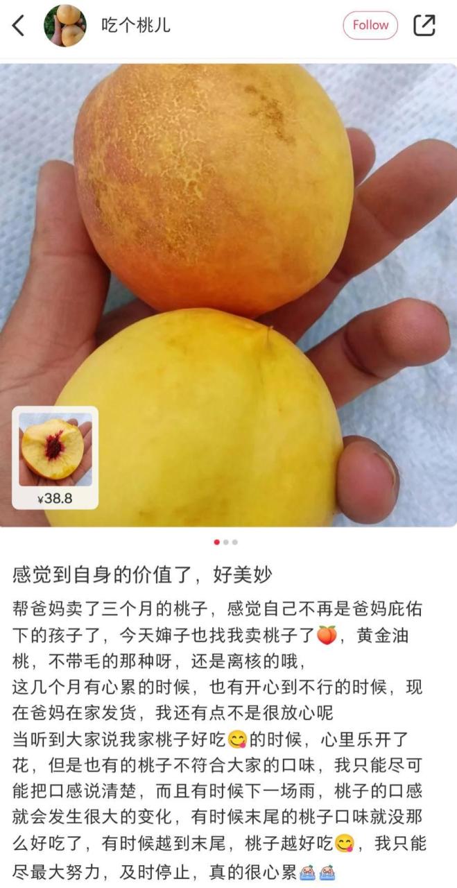 小红书卖水果需要什么条件