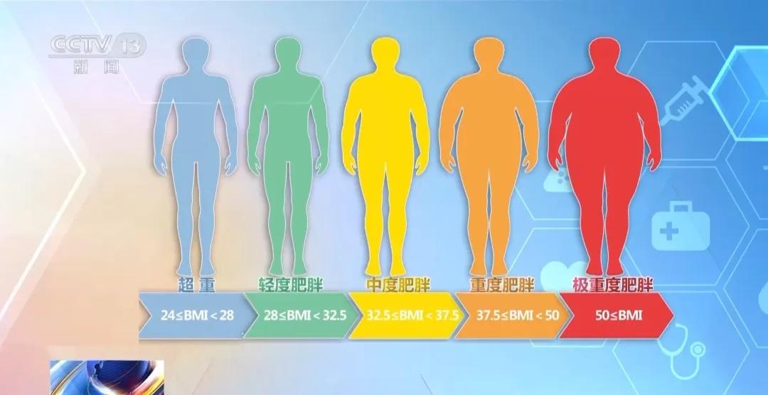 2025年减肥行业趋势