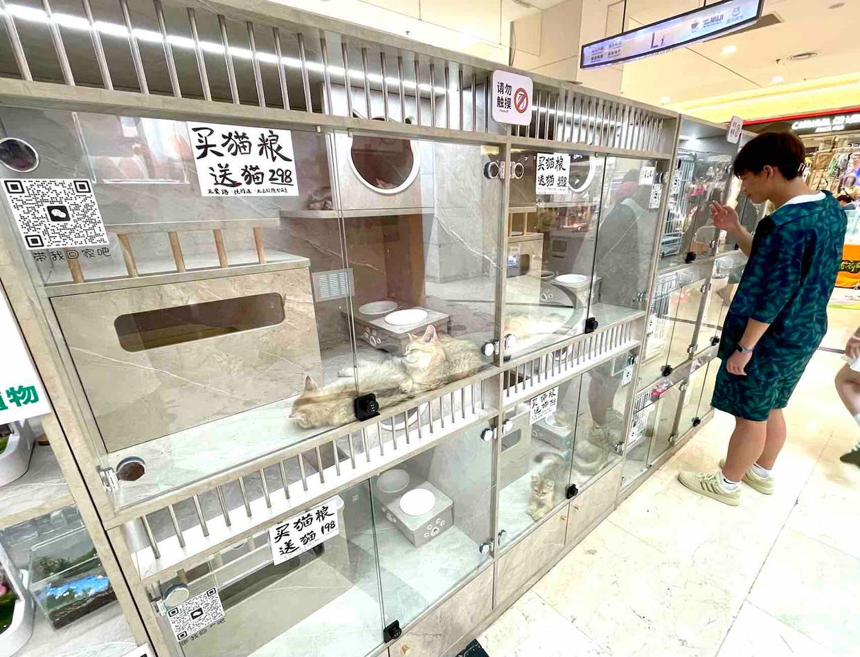 10个无人自助项目推荐