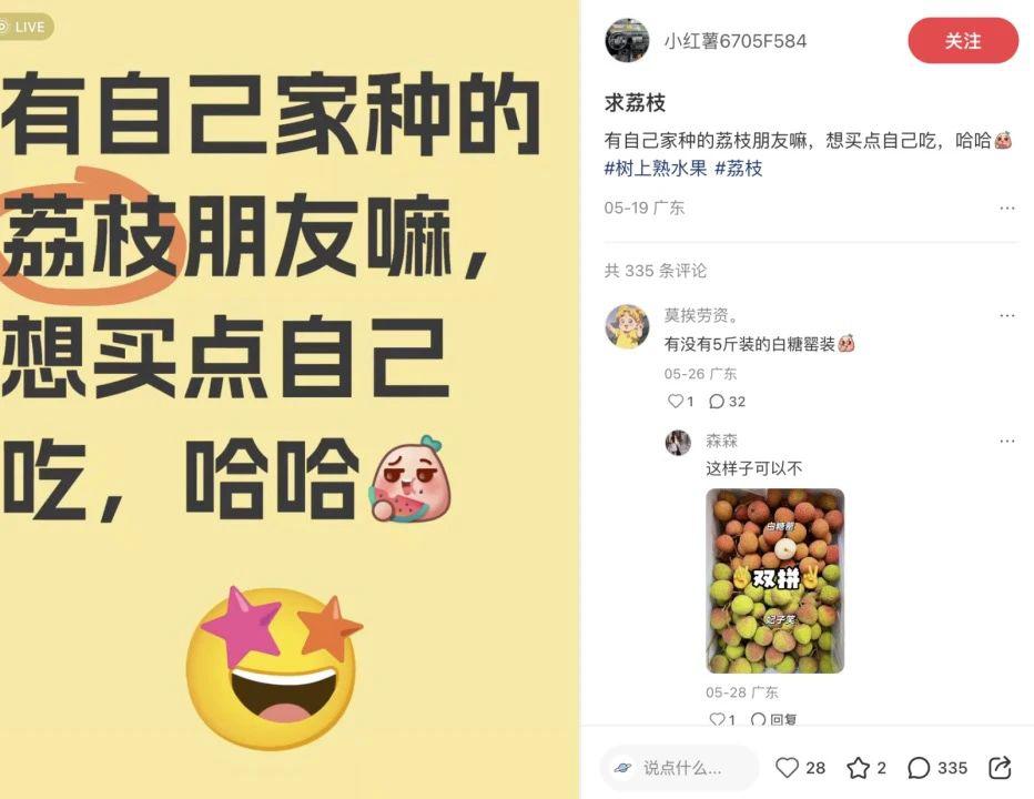 小红书卖水果需要什么条件