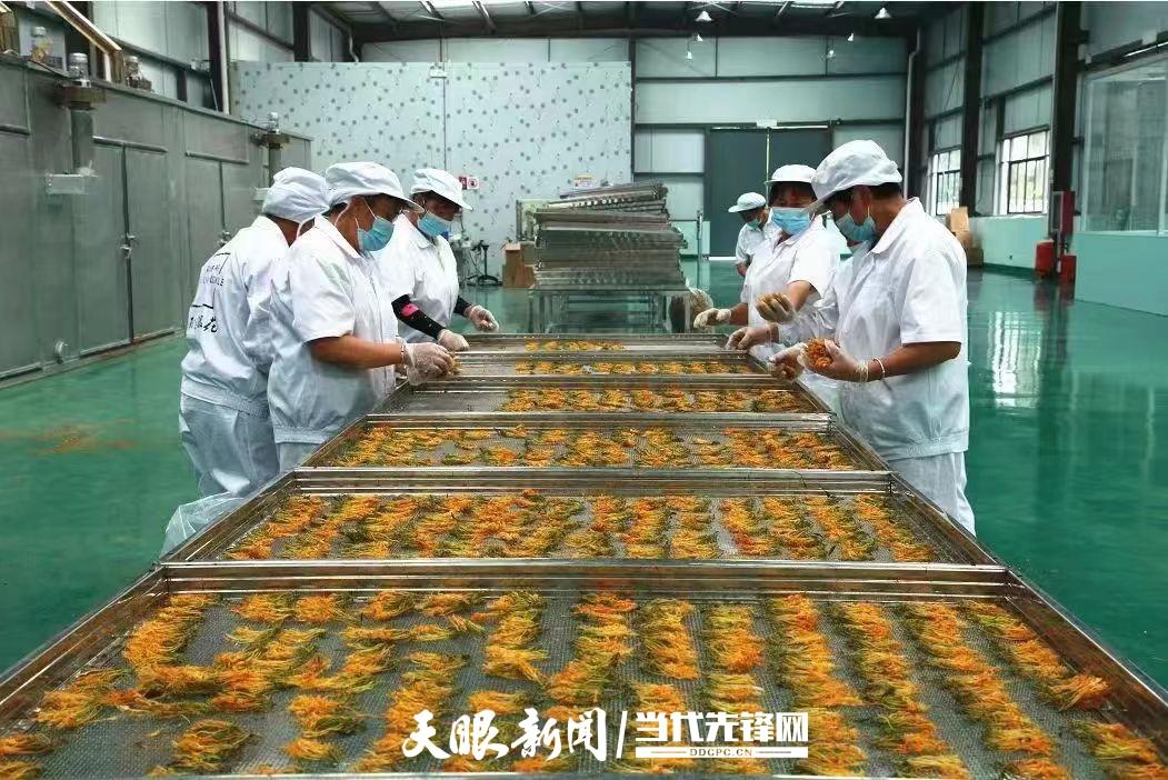 进口医药牙膏