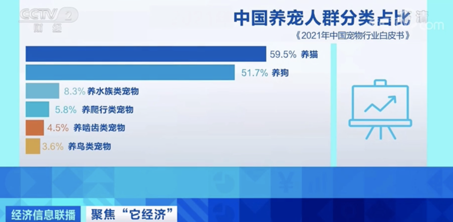 十大赚钱的短视