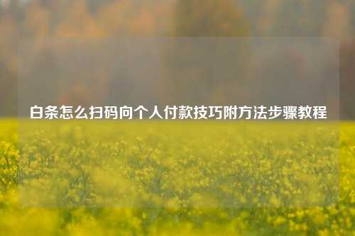 白条怎么扫码向个人付款技巧附方法步骤教程