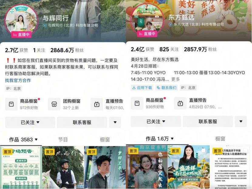灰豚数据怎么选品