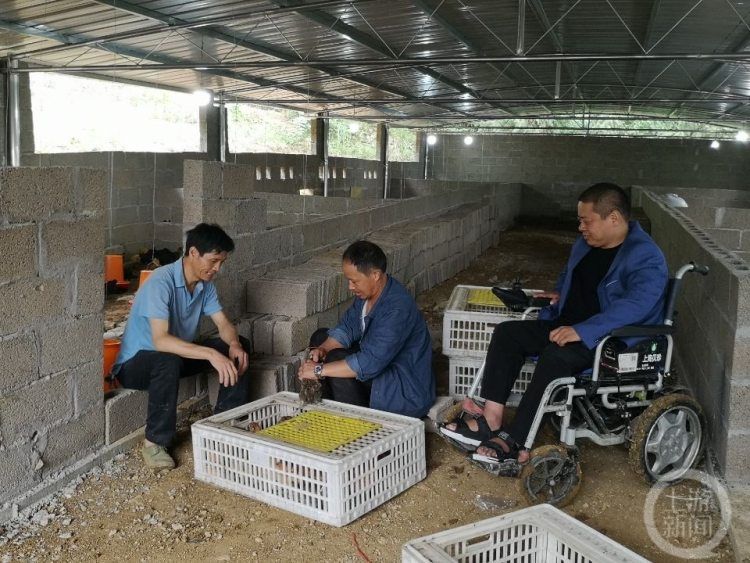 新农人是什么意思