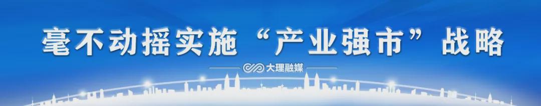 农村合作社怎么挣钱