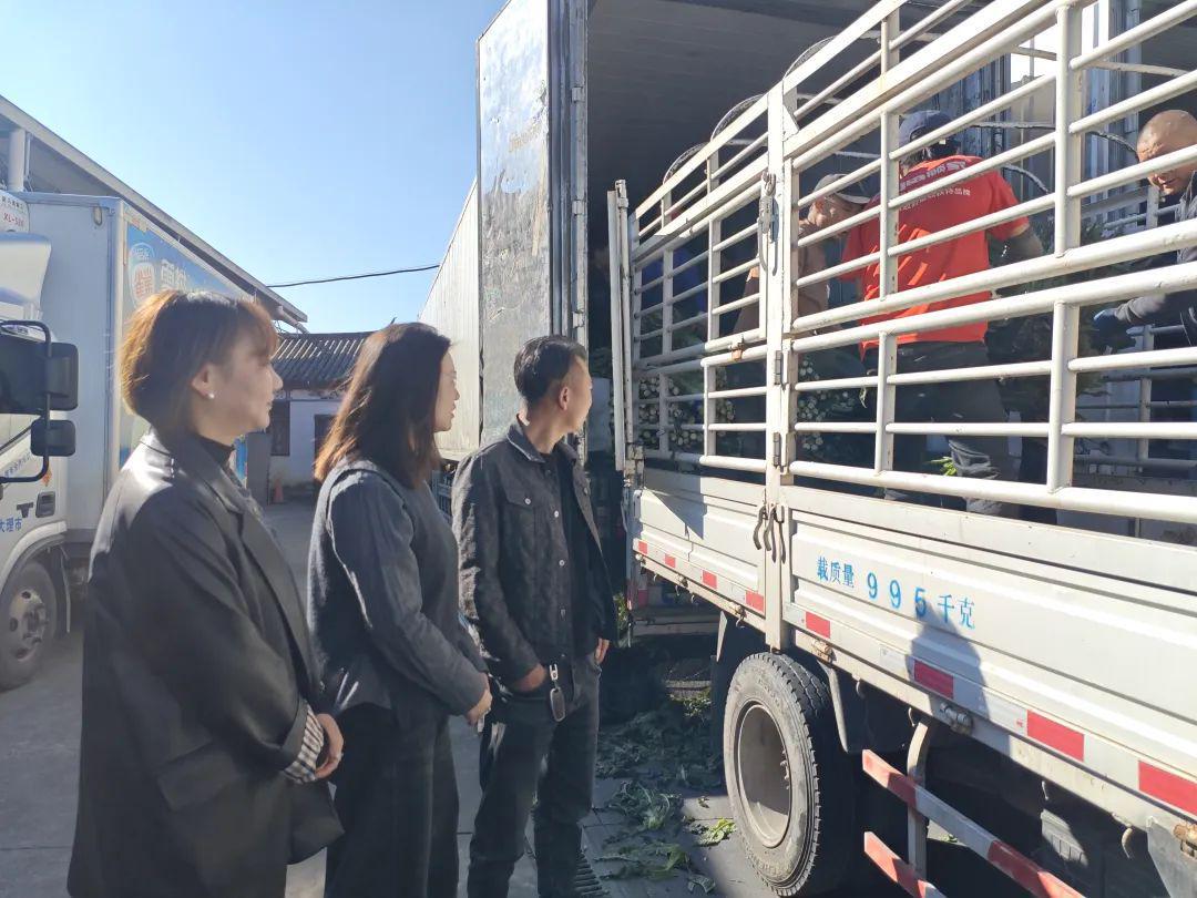 农村合作社怎么挣钱