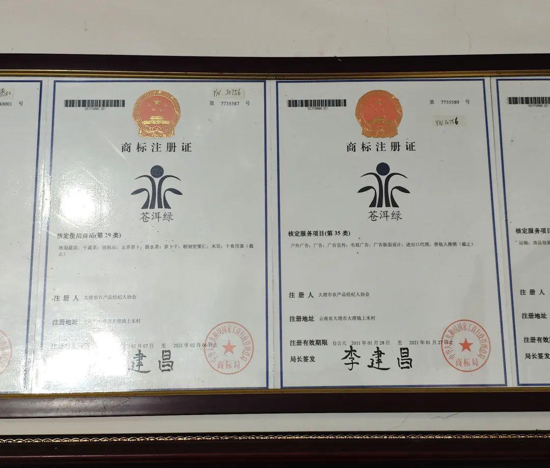 农村合作社怎么挣钱