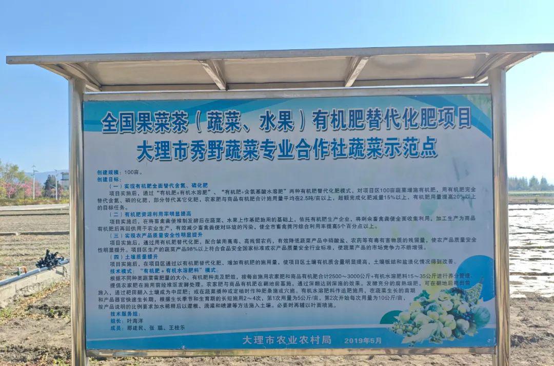 农村合作社怎么挣钱
