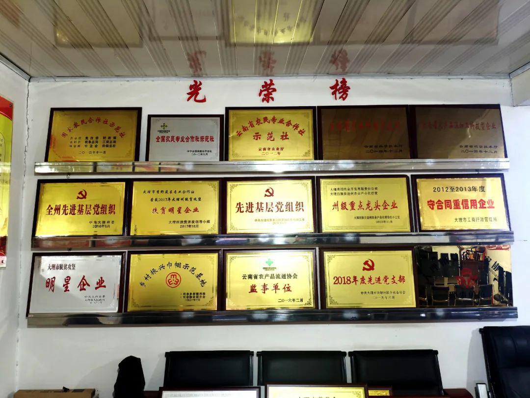 农村合作社怎么挣钱