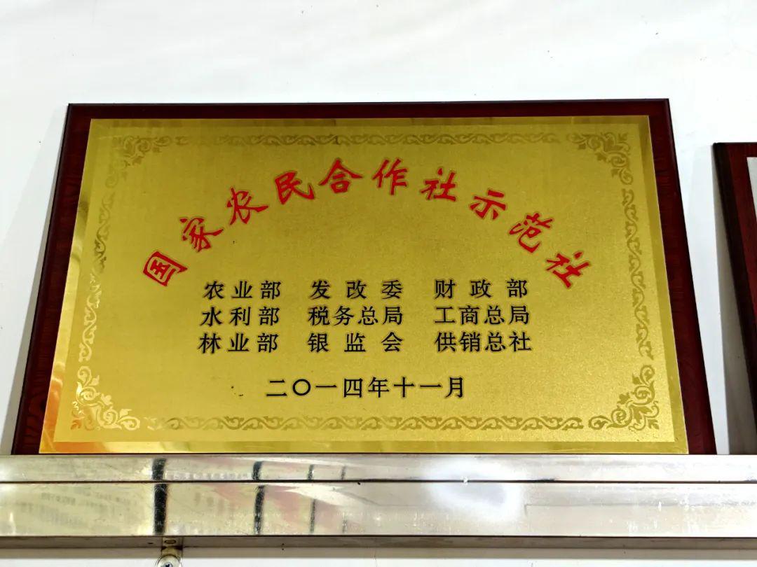 农村合作社怎么挣钱