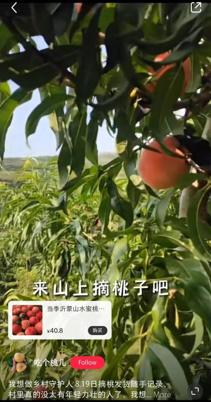 小红书卖水果需要什么条件