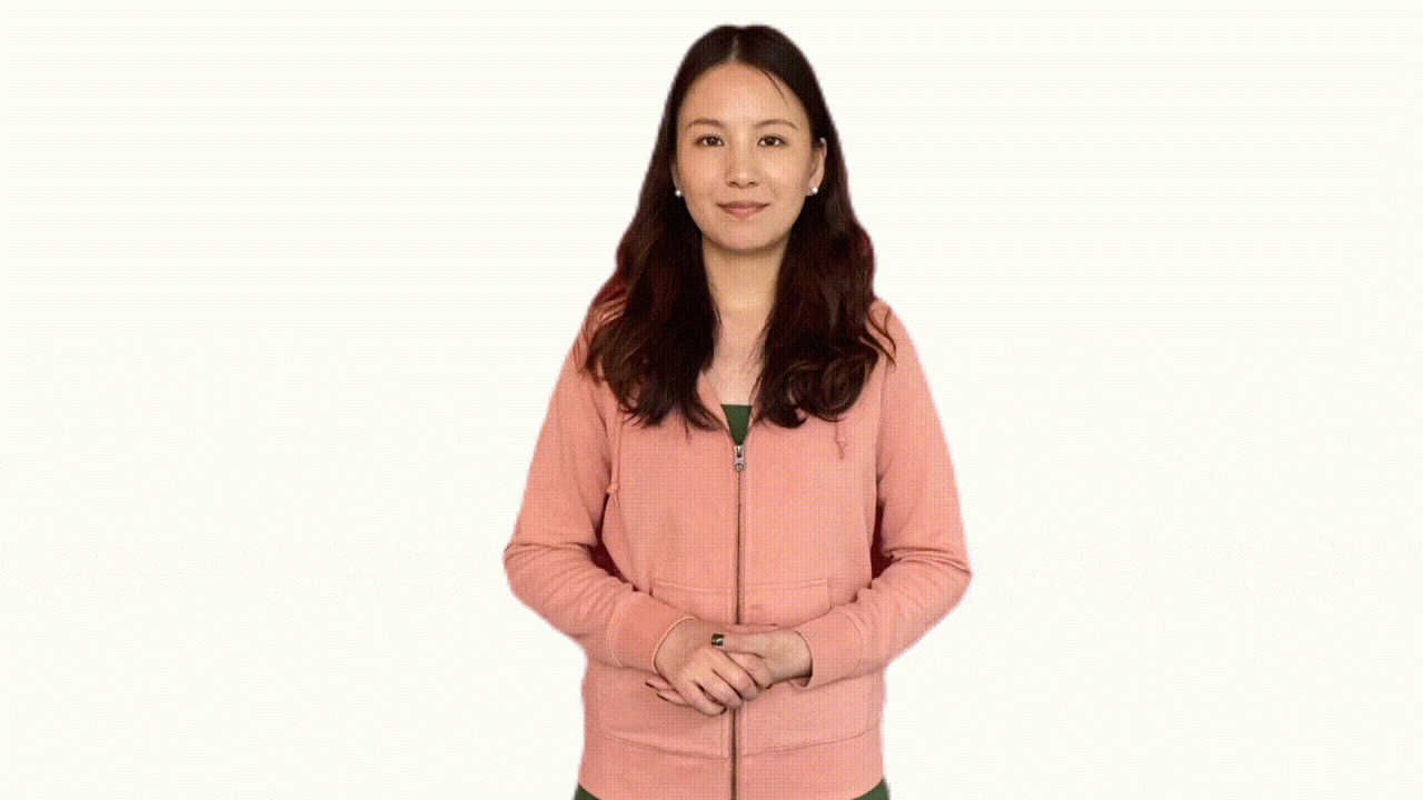 一个动画图形，描绘了用右手展示价格的示例。