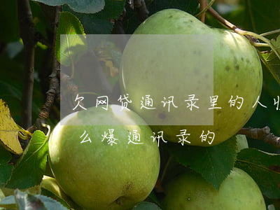 欠网贷通讯录里的人收短信(欠网贷他们是怎么爆通讯录的)