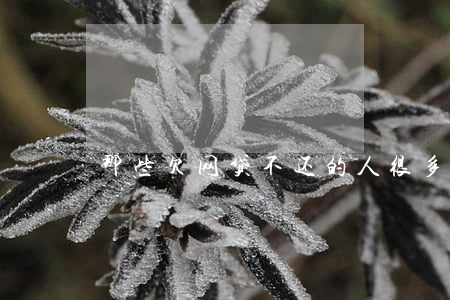 那些欠网贷不还的人(很多人欠网贷不还)