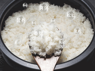 秋季吃哪些谷类养生？用这种电饭煲煮饭更好吃