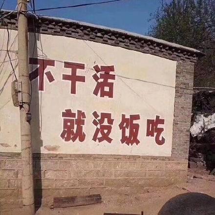 副业避坑