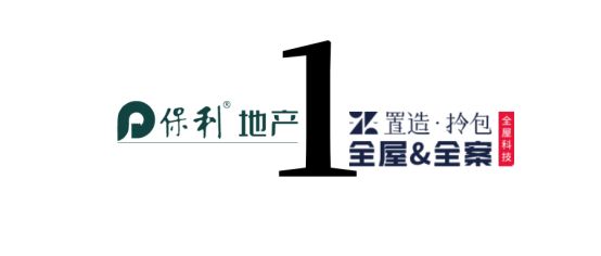 拎包项目是什么意思