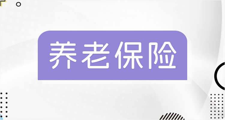 养老金查询
