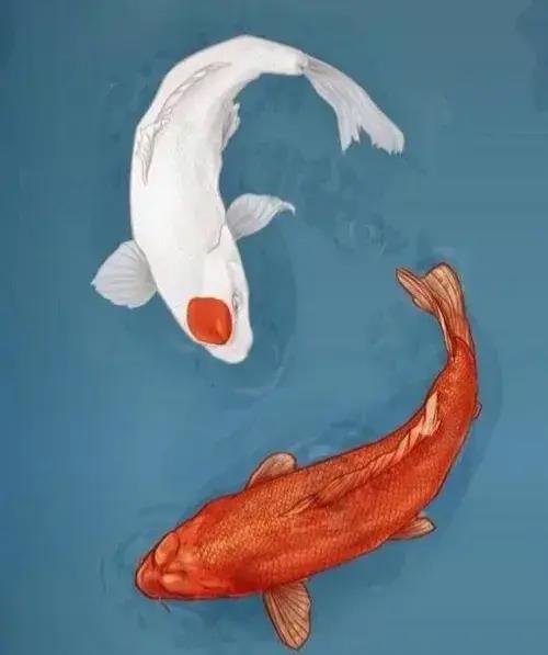 运气不好怎么转运