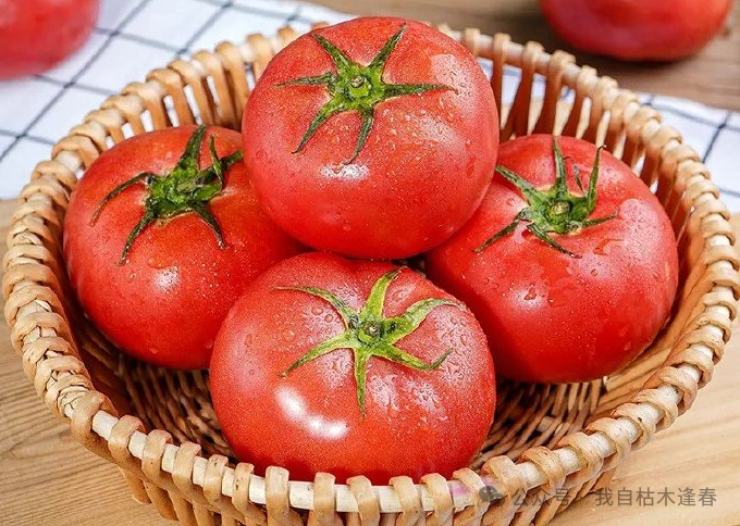 10种顶级抗衰老食物