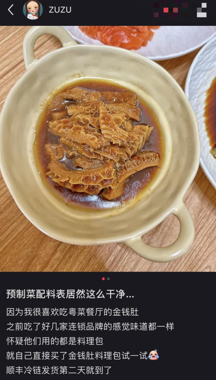 预制人是什么意思