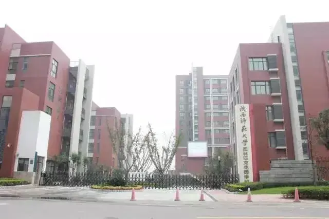 线下审批信用贷款要多久