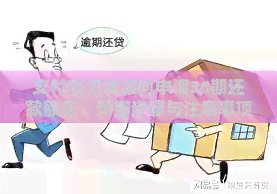 支付宝网贷如何申请36期还款额度：详细步骤与注意事项