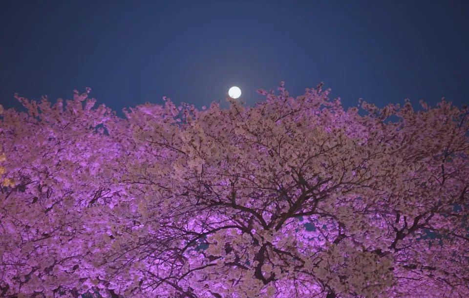 夜经济的六大趋势