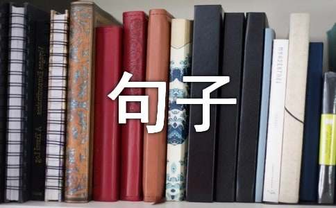 满满都是套路的句子