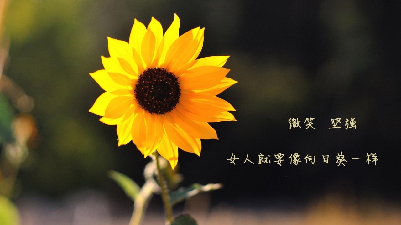 商票逾期对股票市场的影响分析