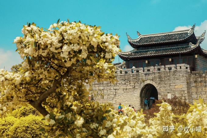 避暑胜地又能玩水