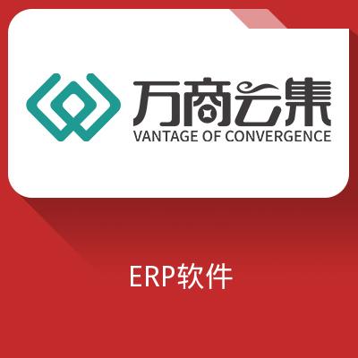 甲Netsuite ERP软件