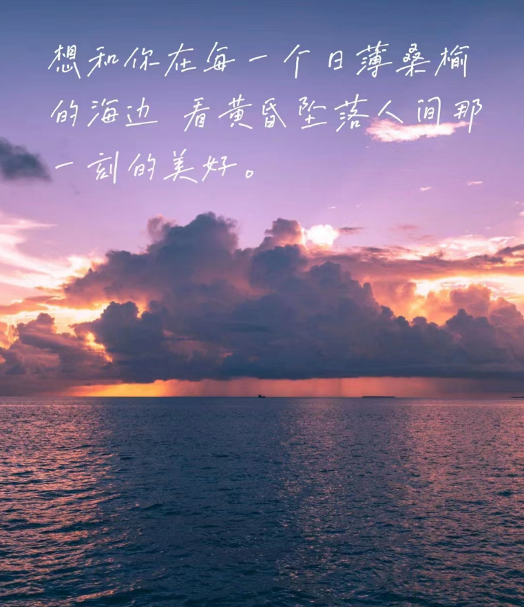 疗愈经济有哪些商机